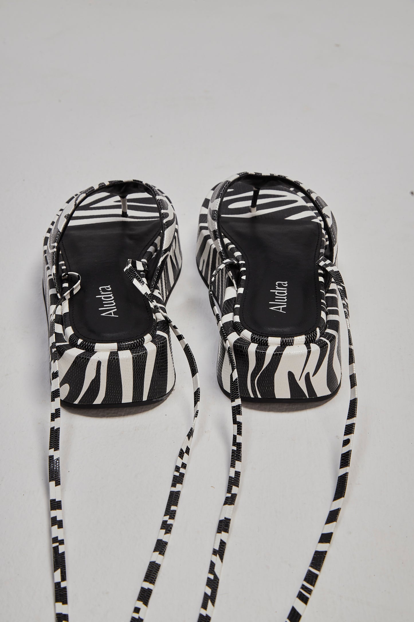 Elisa Zebra